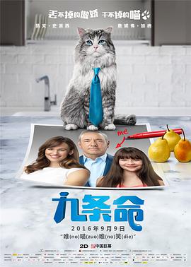 欧美亚洲精品视频