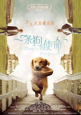 午夜精品不卡电影在线观看