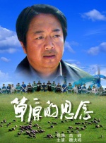 成人爽视频
