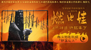成人短视频网站