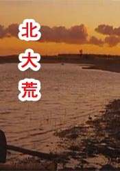 国产aaa免费视频