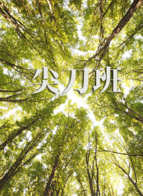 成人欧美一区二区三区
