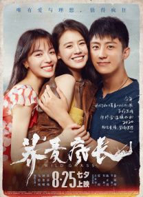 伊人网在线免费观看