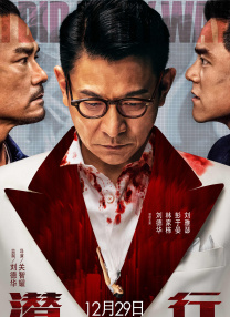 99久久精品免费